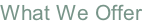 What We Offer
